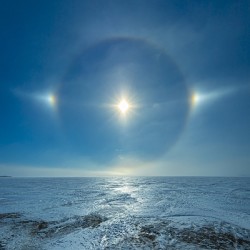 Sundog on Ice