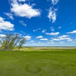 Green Valley Under a Blue Sky