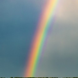 Rainbow in the Prairies