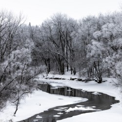 Spillway in Winterfog