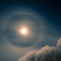 Moon Halo
