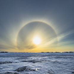 Sundogs