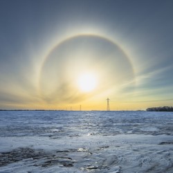 Sundogs