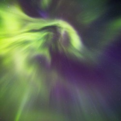 Northern Lights Dance