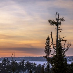 Overlooking Falcon Lake