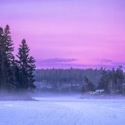 Fog Rising Over Falcon Lake