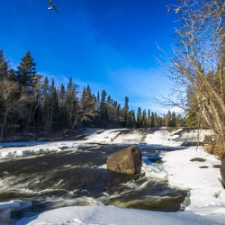 Pine Point Rapids