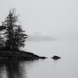 Fog on the Lake