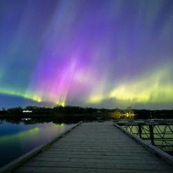 Auroras at the Dock