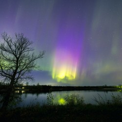 Comet Fall Aurora by lone Tree