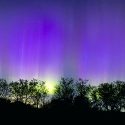 A night of Stars and Auroras