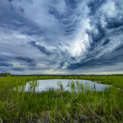 Pasture Under Storm Clouds
