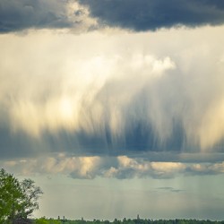 Rain Cloud