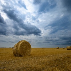 Hay Bales Under a Cloudy Sky