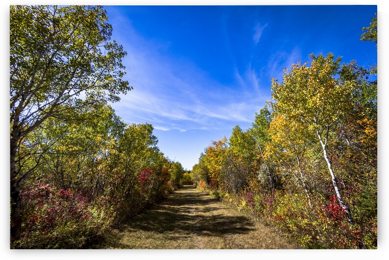 Trail in the Fall by Marc Gilbert Photography
