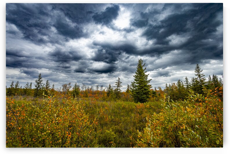 Moody Fall by Marc Gilbert Photography