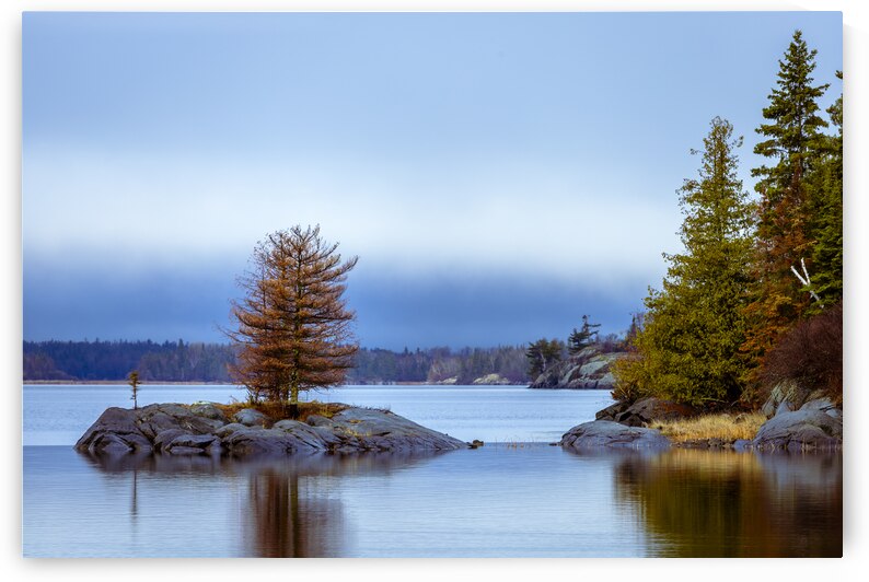 Tree on a Shoal by Marc Gilbert Photography