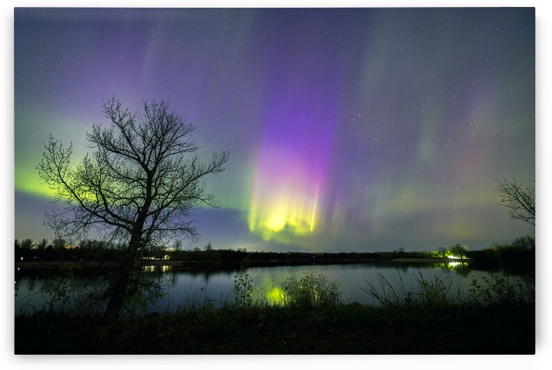 Comet Fall Aurora by lone Tree by Marc Gilbert Photography