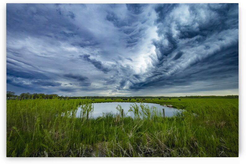 Pasture Under Storm Clouds by Marc Gilbert Photography