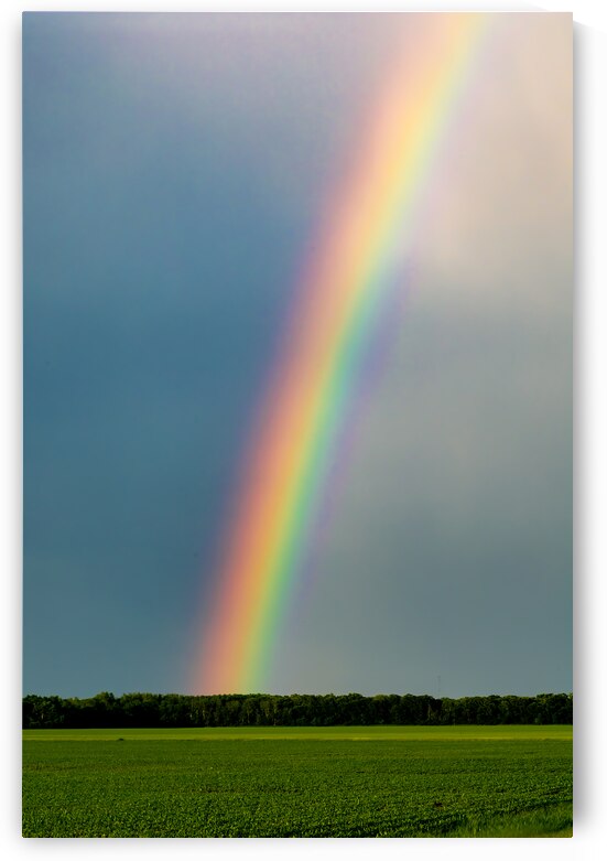 Rainbow in the Prairies by Marc Gilbert Photography