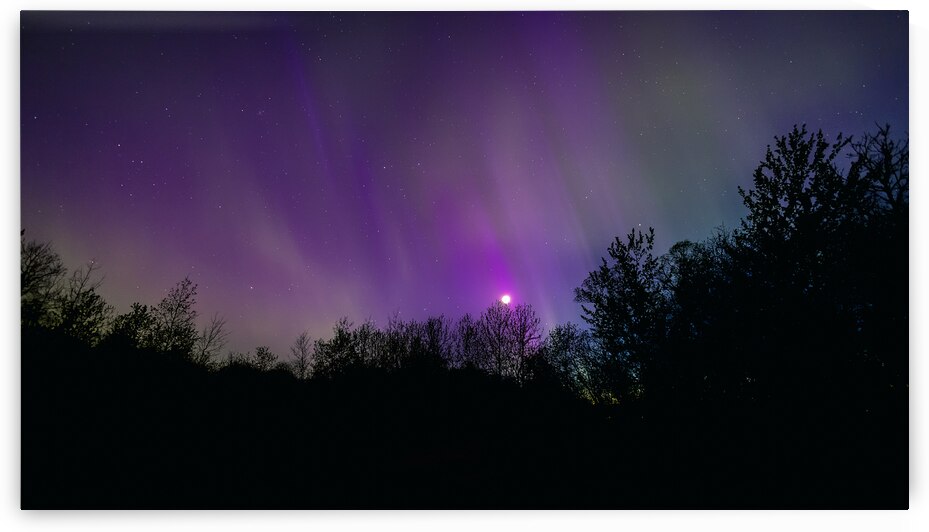 Aurora and Moonlight over the Canopy by Marc Gilbert Photography