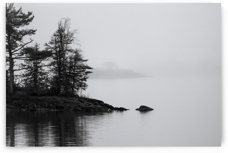 Fog on the Lake by Marc Gilbert Photography