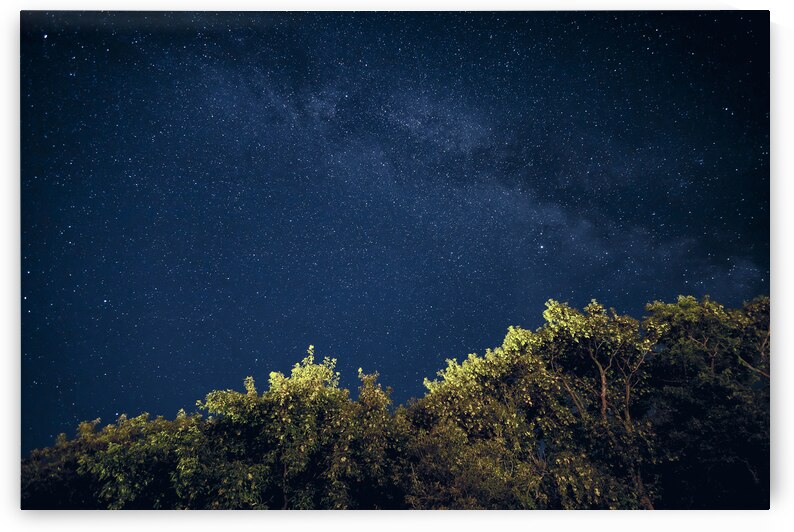 Starry Night by Marc Gilbert Photography