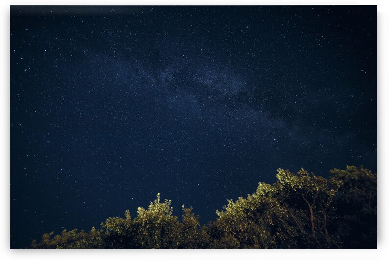Starry Night by Marc Gilbert Photography