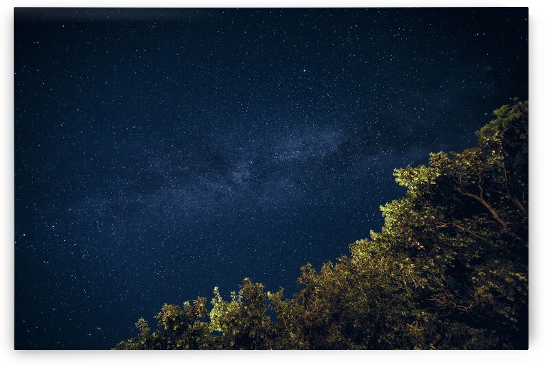 Starry Night by Marc Gilbert Photography