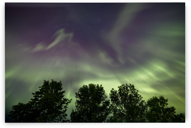 northern Lights by Marc Gilbert Photography