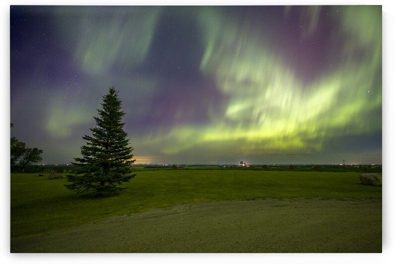 Northern Lights by Marc Gilbert Photography