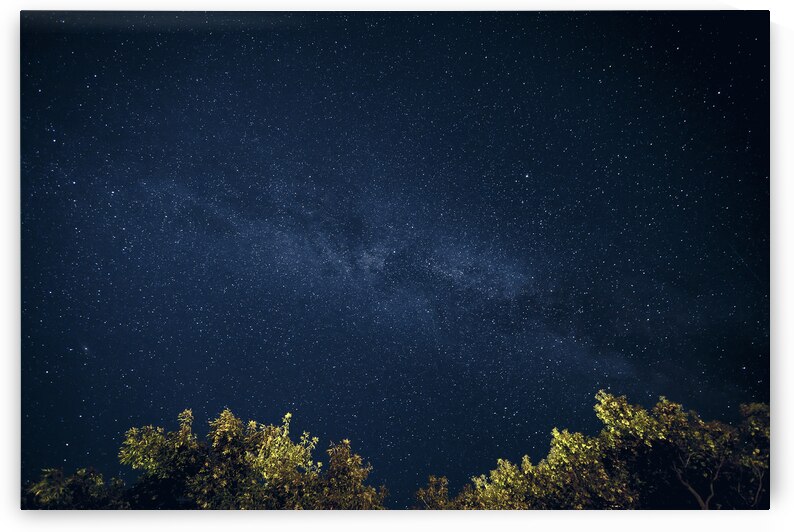 Starry Night by Marc Gilbert Photography