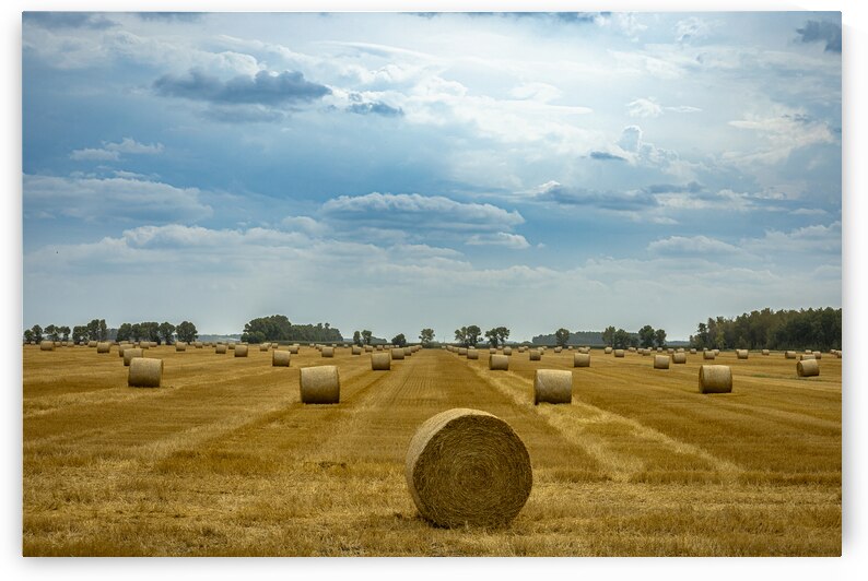 Hay Bales Under a Cloudy Sky by Marc Gilbert Photography