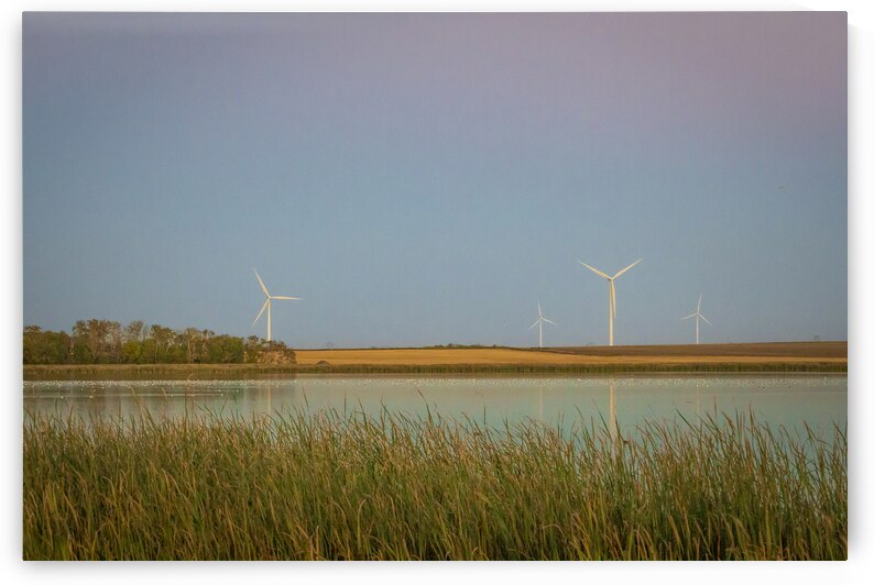 Wind Turbines Reflection by Marc Gilbert Photography