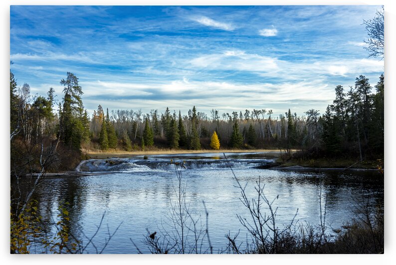 Lone Tamarack Tree Behind the Falls by Marc Gilbert Photography
