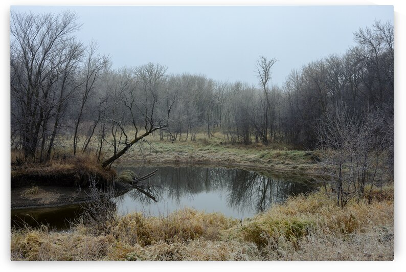 Fog by the River by Marc Gilbert Photography