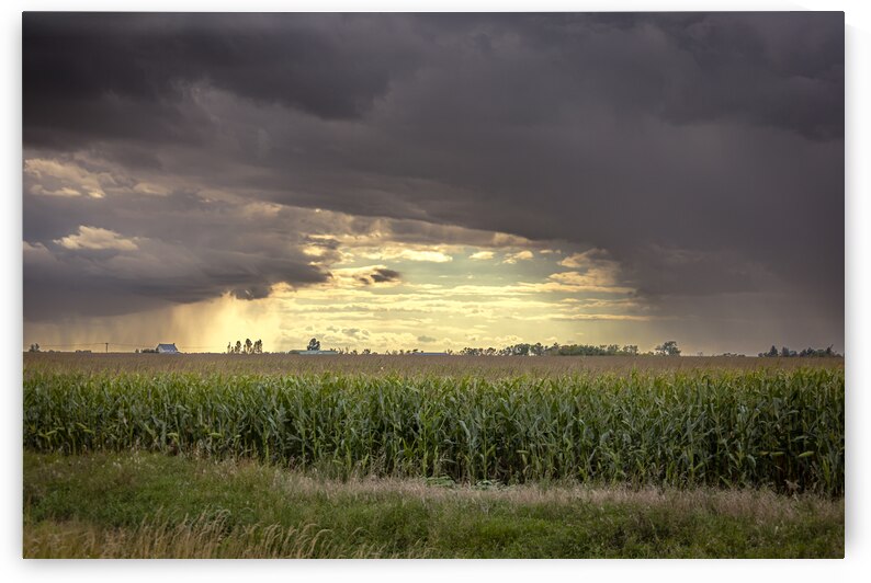 Archway of Light by Marc Gilbert Photography