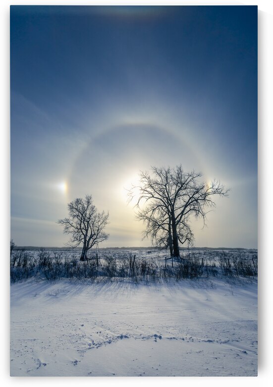 Sundogs Behind Lone Trees by Marc Gilbert Photography
