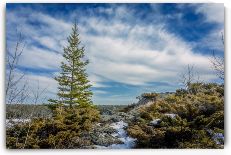 Dragon Fire Trail by Marc Gilbert Photography