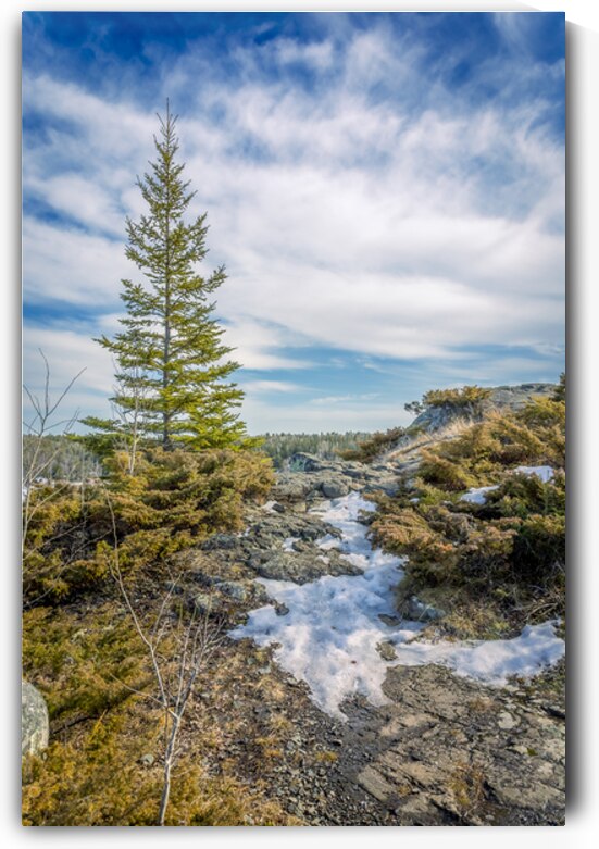 Dragon Fire Trail by Marc Gilbert Photography