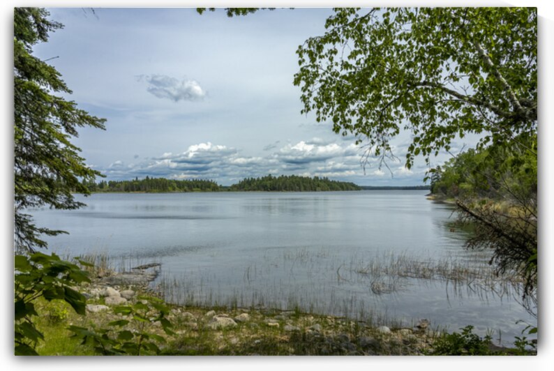 Shoal Lake View by Marc Gilbert Photography