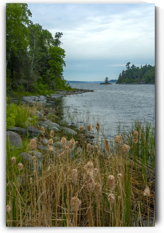 Morning on Shoal Lake by Marc Gilbert Photography