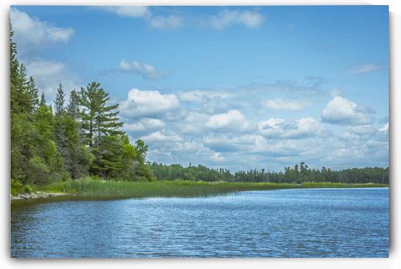 Lake of the Woods View by Marc Gilbert Photography