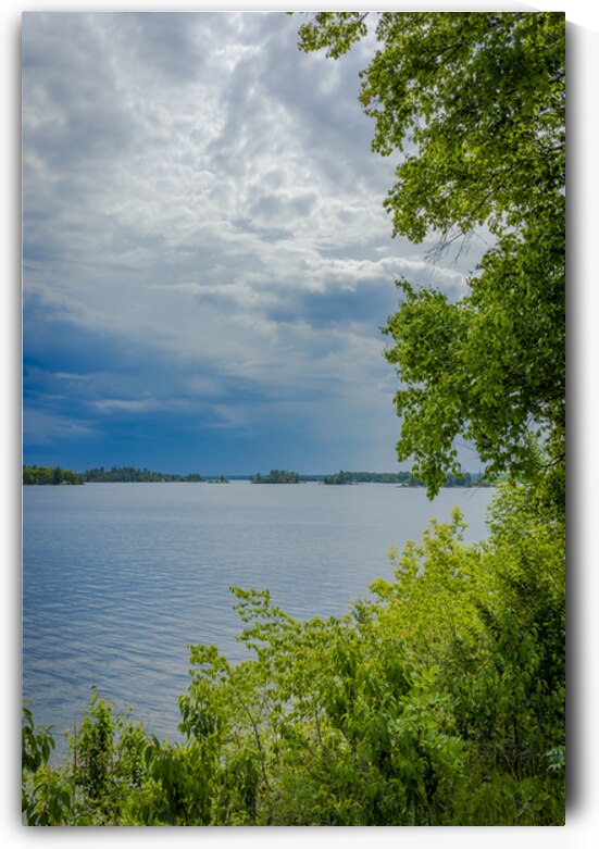 Lake of the Woods Shore by Marc Gilbert Photography