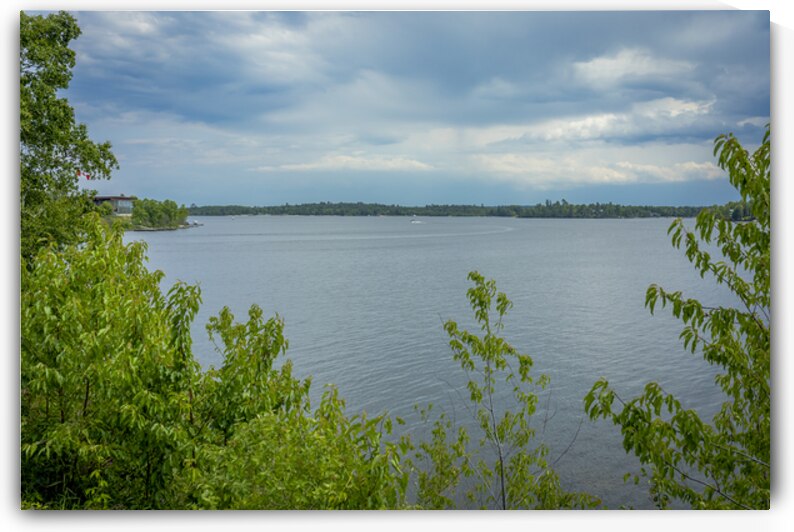 Lake of the Woods Shore by Marc Gilbert Photography