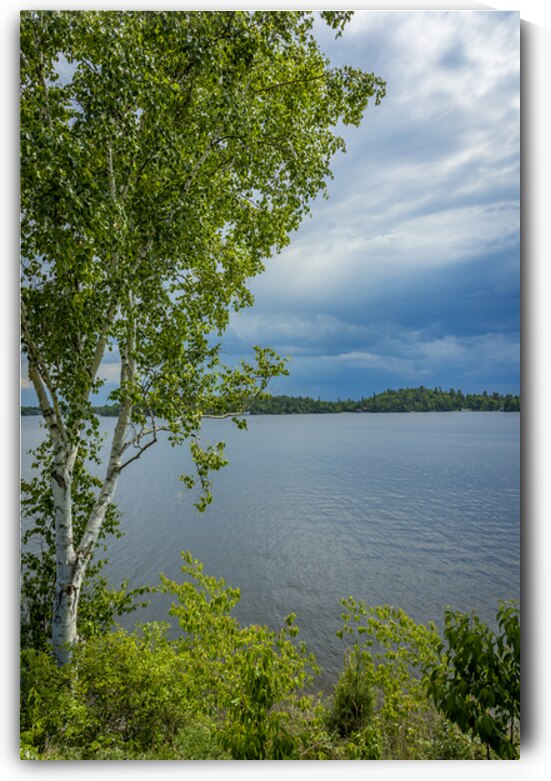 Lake of the Woods Shore by Marc Gilbert Photography
