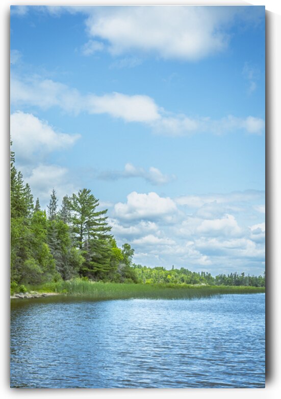 Lake of the Woods View by Marc Gilbert Photography