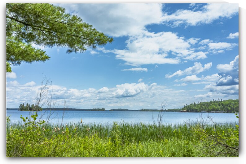 Lake of the Woods View by Marc Gilbert Photography