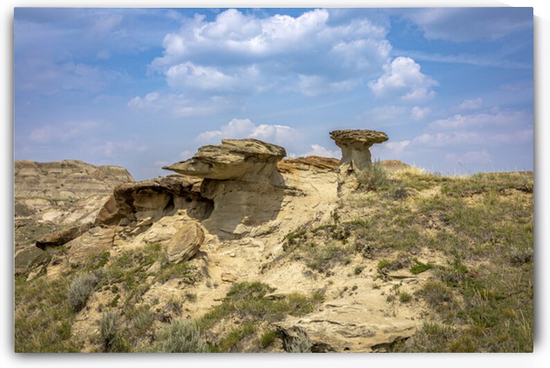 Natures Sculpted Wonders by Marc Gilbert Photography