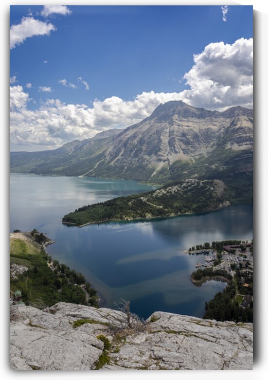 Above It All: Waterton’s Bear Hump Vista by Marc Gilbert Photography